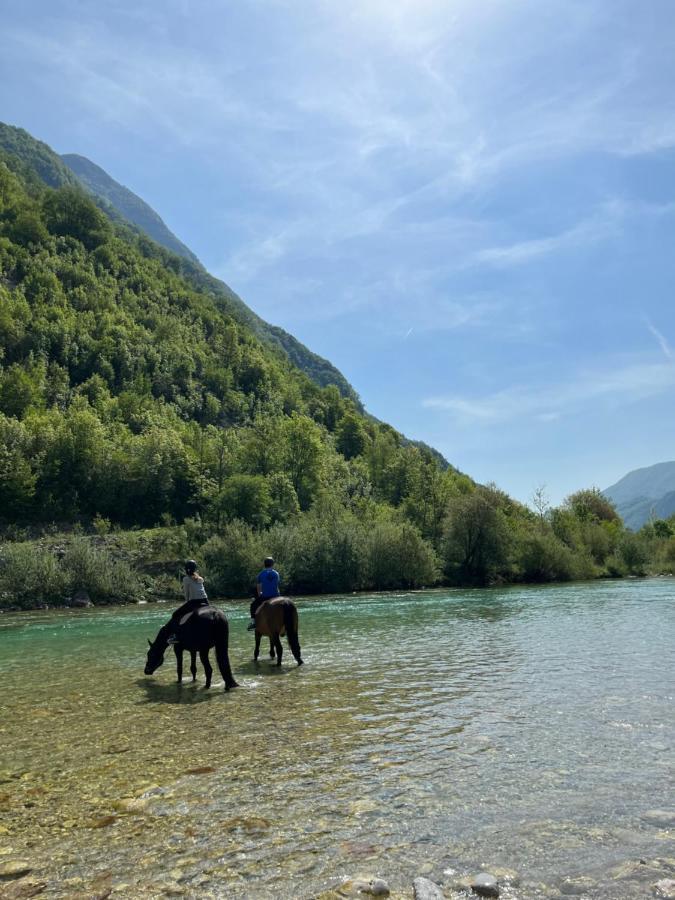 Apartment Baban In Zaga, Slovenia المظهر الخارجي الصورة